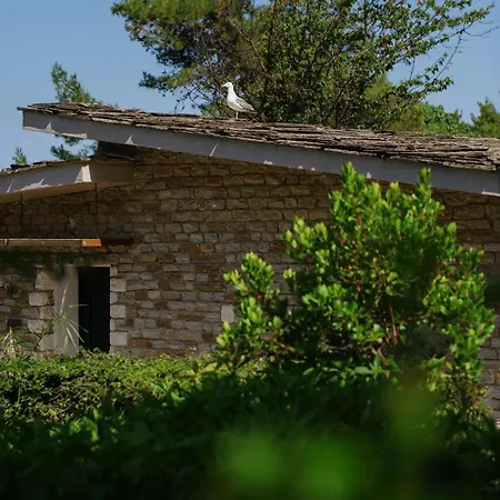 Hotel Makryammos 5*